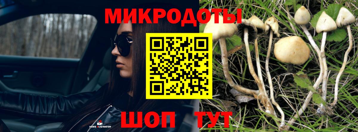 Галлюциногенные грибы ЛСД  хочу   Тосно  Вход с VPN  Псилоцибиновые грибы прущие грибы 
